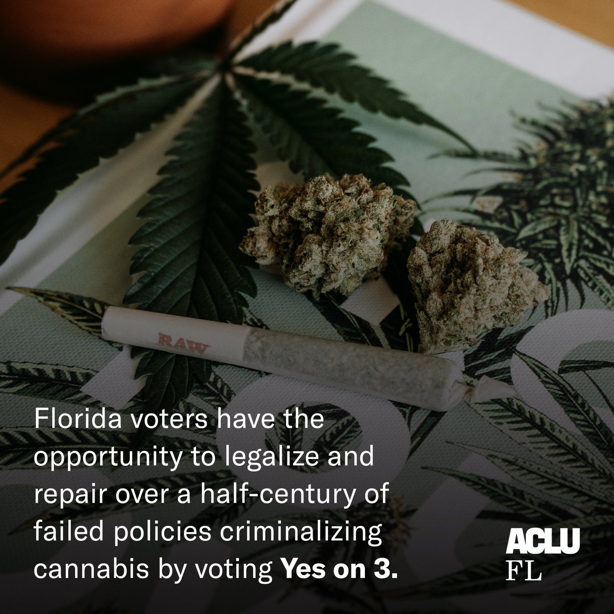 Florida voters have the opportunity to legalize and repair over a half-century of failed policies criminalizing cannabis by voting Yes on 3. #420day