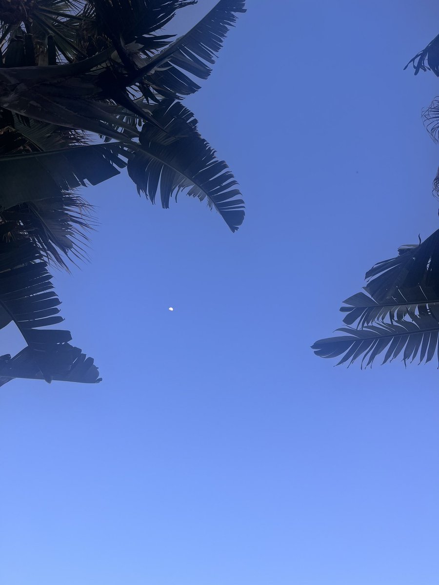 JOCELYN😘 tweet media