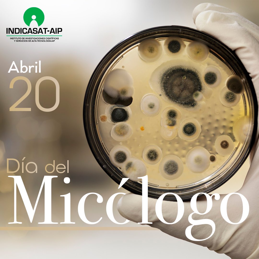 El día del micólogo y del Fantástico Reino de los Hongos ya tiene vida propia, es un micelio que conecta a miles de personas y no para de crecer. Feliz Día a Todos los Micólogos y Aficionados por el Reino Fungi. . . . #micologo #micologia