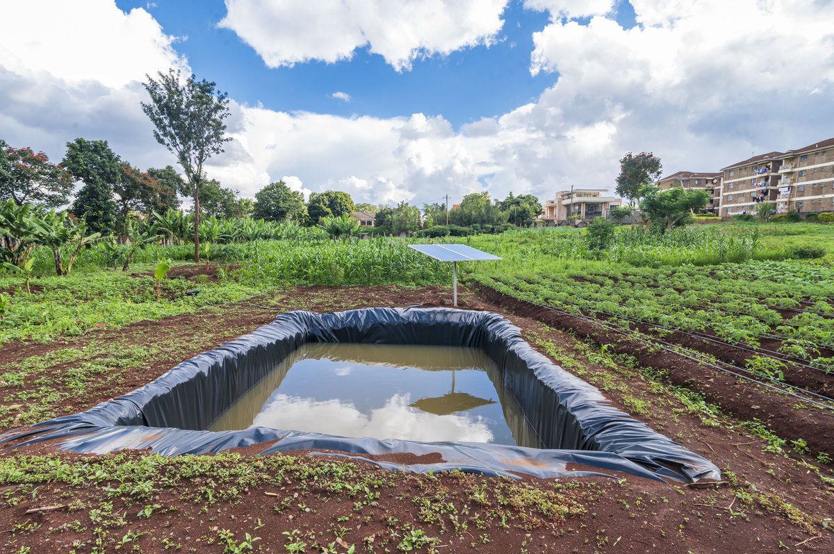 It's that time of the season when farmers ought to think of smart ways of harvesting all the runoff water in preparation for the dry season. Rain water harvesting using shallow water-pans covered with HDPE geomembrane dam-liners is the most economical and efficient way.