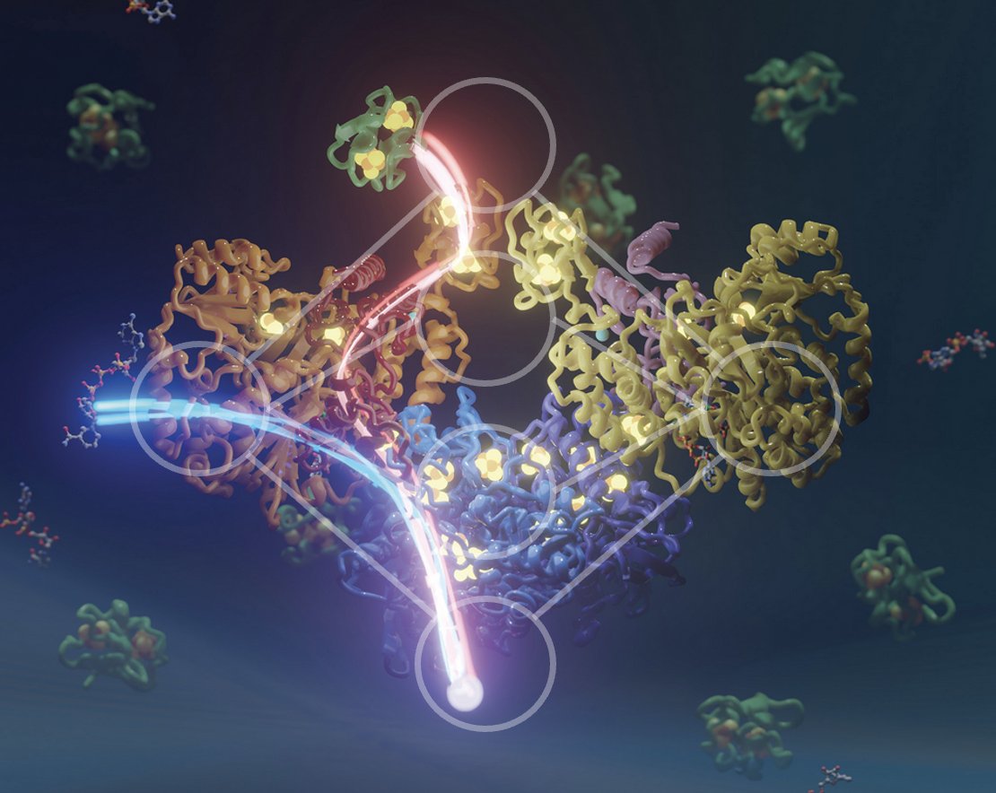 A few more days left to apply for positions in computational biophysics, ML and/or bioenergetics of membrane proteins in our Lab (by April 23):
Biophysics (PhD):  lnkd.in/d5tGuj6S
Biochemistry (PhD):  lnkd.in/dNqP4xVT
Biophysics/ML (postdoc): lnkd.in/d6wZPjzX
