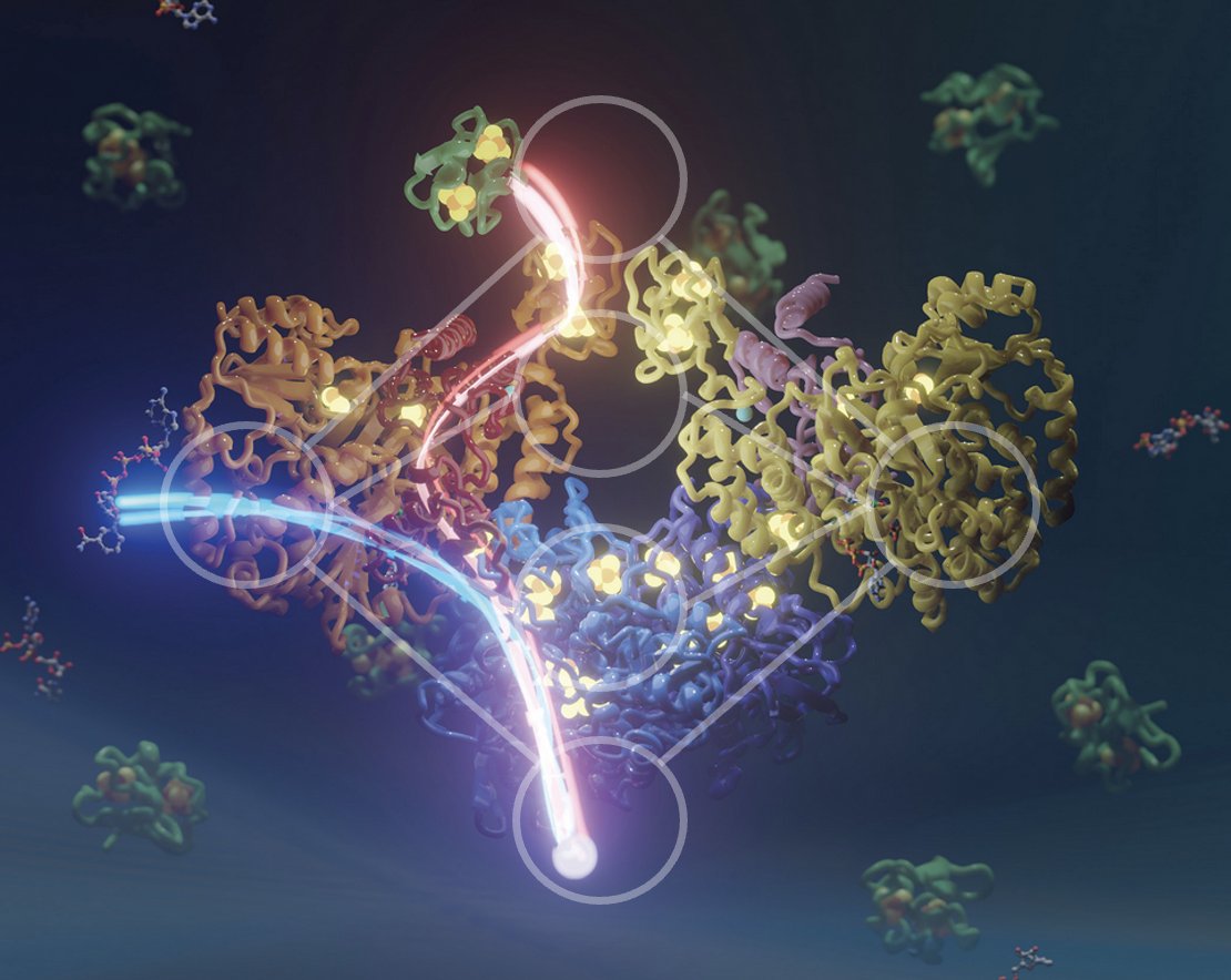 A few more days left to apply for positions in computational biophysics, ML and/or bioenergetics of membrane proteins in our Lab (by April 23): Biophysics (PhD):  lnkd.in/d5tGuj6S Biochemistry (PhD):  lnkd.in/dNqP4xVT Biophysics/ML (postdoc): lnkd.in/d6wZPjzX