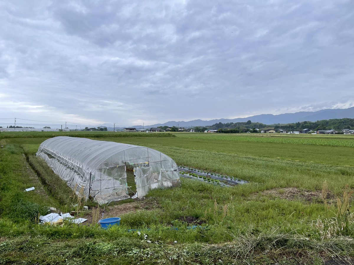 湯前町に来ました

高鍋と西都市足しても足りないくらいの広さが
永遠と田んぼと畑 