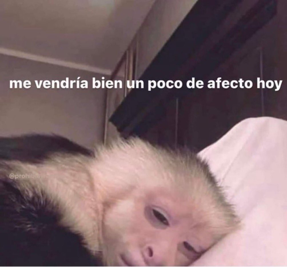 skereunpesado's tweet image. 