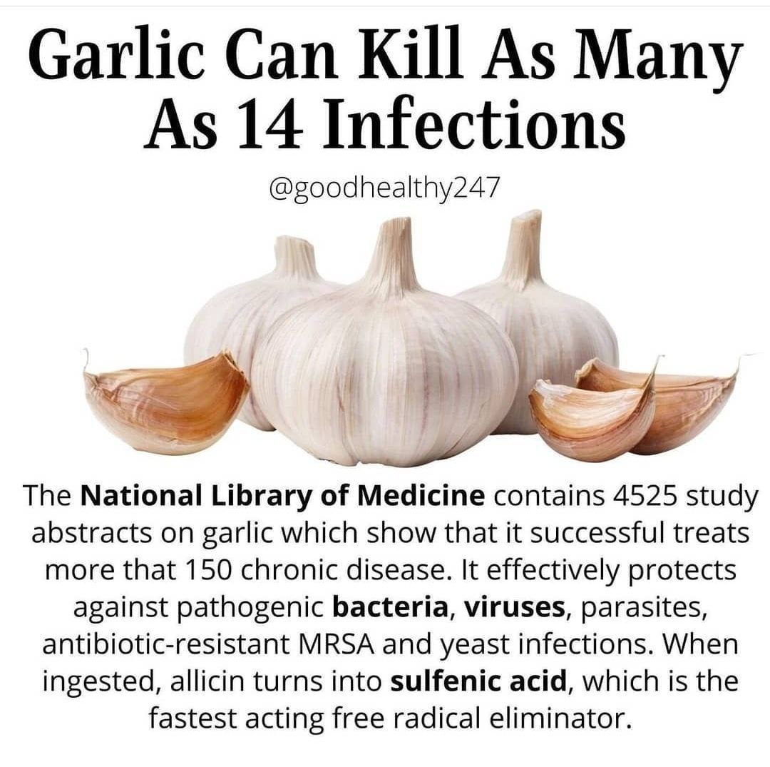 Garlic Can Kill As Many As 14 Infections.

The National Library of Medicine contains 4525 study abstracts on garlic which show that it successful treats more that 150 chronic disease.

It effectively protects against pathogenic bacteria, viruses, parasites, antibiotic-resistant