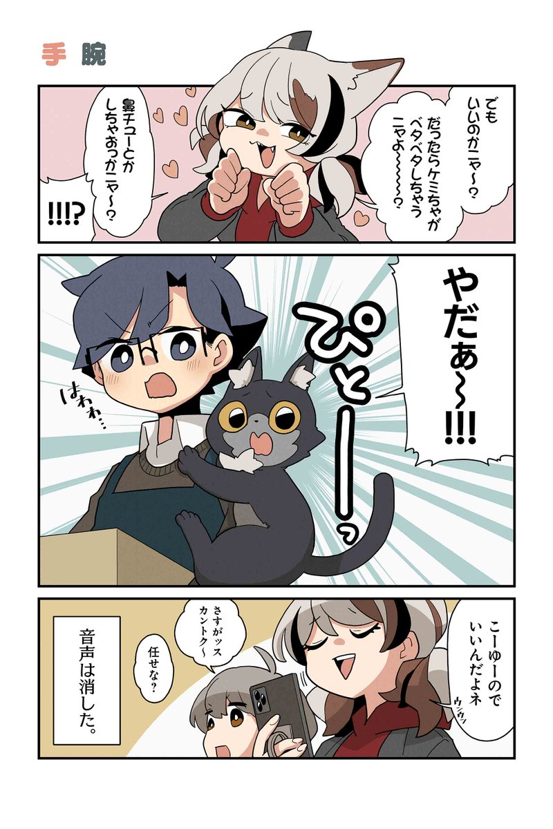 【手腕】NOBEL『猫の手だって役に立つ』 https://t.co/Ot5iWOkX9Y #ツイ4 