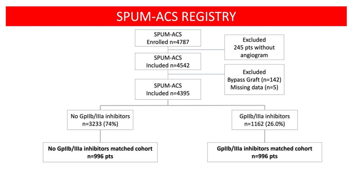 Safety and efficacy of glycoprotein IIb/IIIa inhibitors in patients with #ACS: new evidence from the SPUM-ACS study 👉 bit.ly/3UmnCBs @FeliceGragnano @EditorEHJCVP @cardiotfl @wenzl_florian @cescobruno #EHJPharmacotherapy #GPI #PCI #DAPT