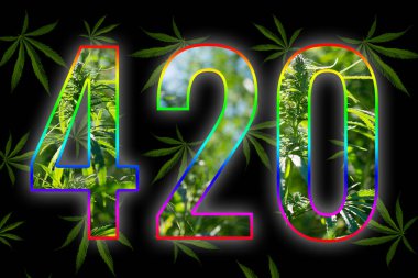 mjheadshop's tweet photo. Happy 4/20! Blaze it up, vape it up, enjoy your edibles!

#weedmob #CannabisCommunity #LegalizeIt #weed #cannabis #420day #420 https://t.co/OyZ0y309aC