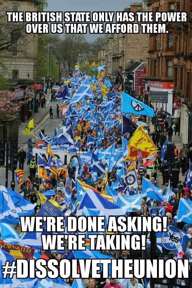 IT'S TIME TO WALK THE WALK ...
LET'S GET WESTMINSTER TELT !!
RED OR BLUE 
FTT.