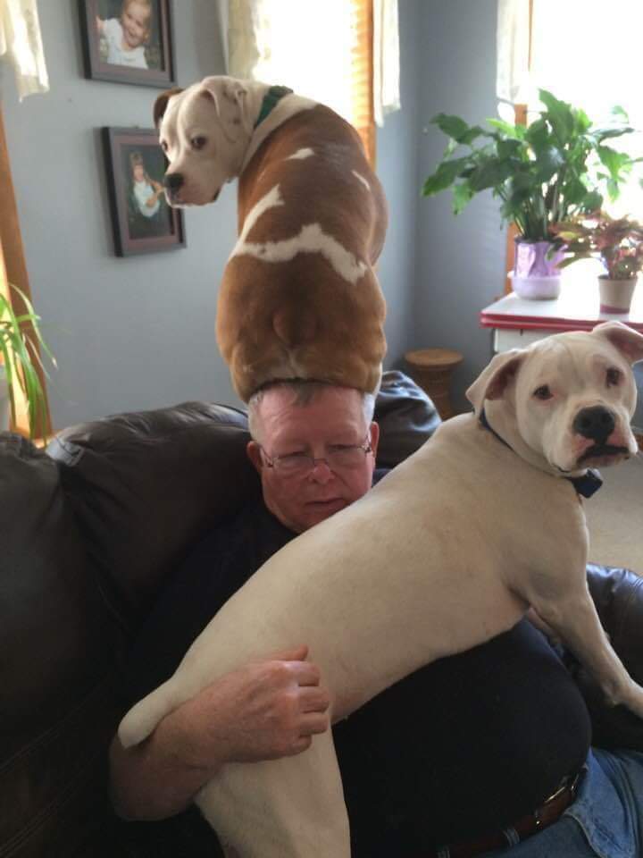 Need a Caption.