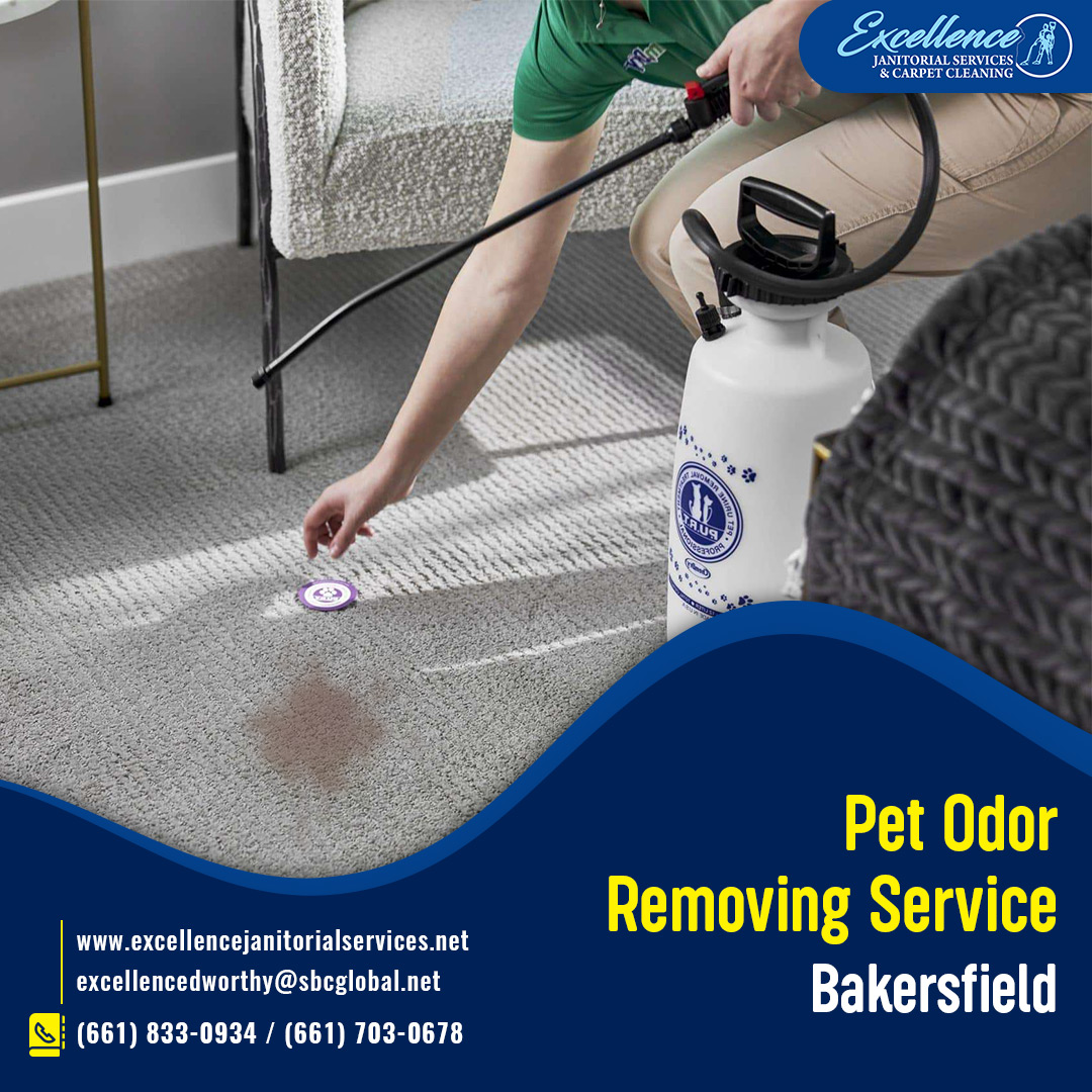 Choose a licensed Pet odor removing service at Bakersfield from Excellence Janitorial Services & Carpet Cleaning, to get quality services at a reasonable price. For details, click here:👇 excellencejanitorialservices.net/pet-stain-remo…

#excellencejanitorialservices #petodurcleaning #odorremovingservice