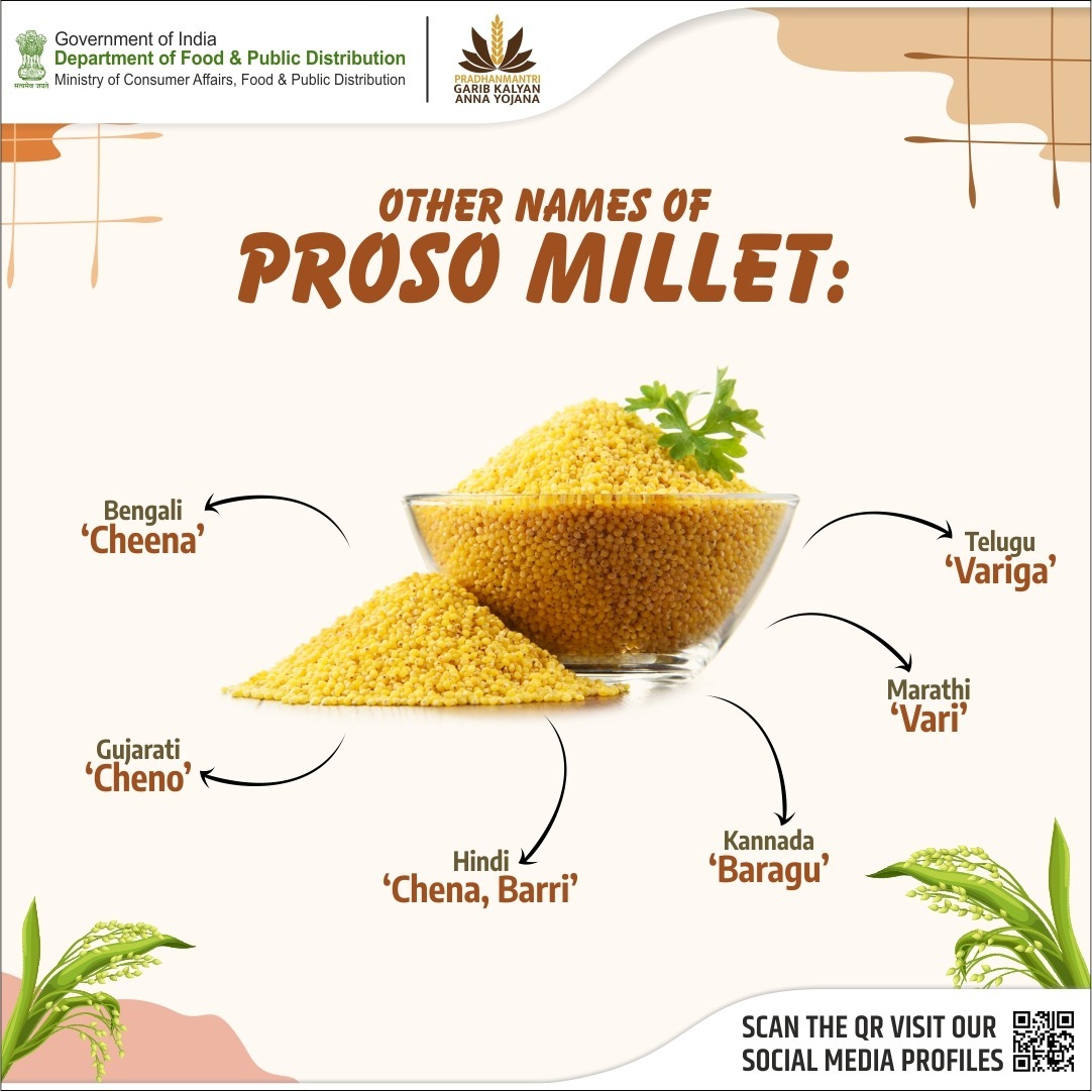 Explore the regional name variations of Proso Millet.

#MissionNutrition #Millets
