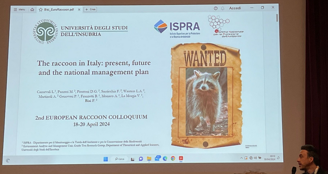 Experts from all over Europe met at the 2nd Euroraccoon colloquium in Tuscany to talk about the management of the #InvasiveAlienSpecies Raccoon, Procyon lotor 🦝. Improving awareness and early warning are necessary and key to tackle this problem, also through Citizen Science 📲