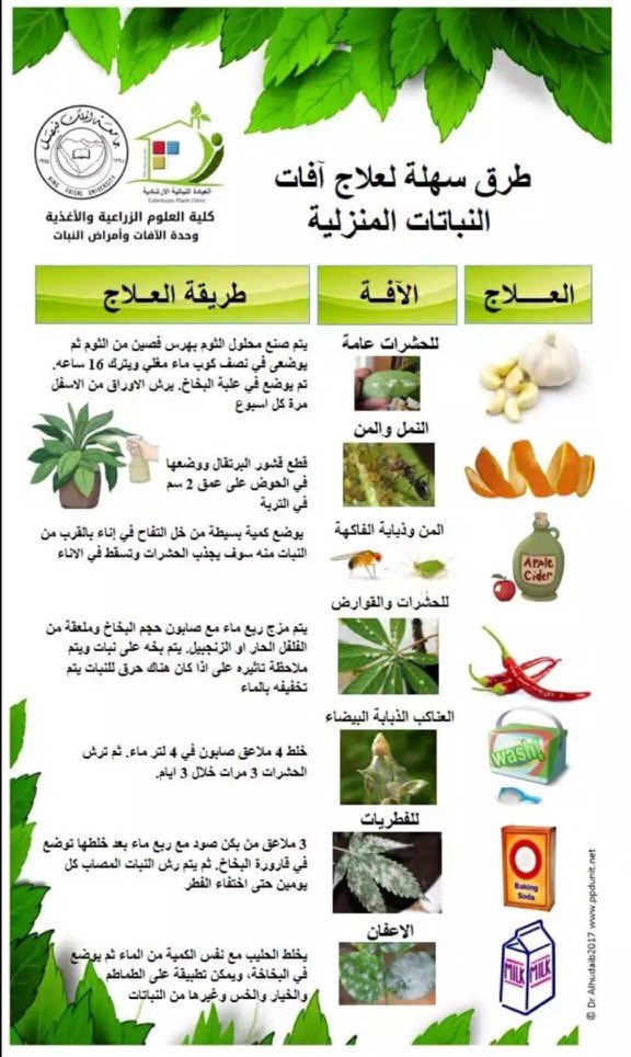 حديقة البيت tweet media