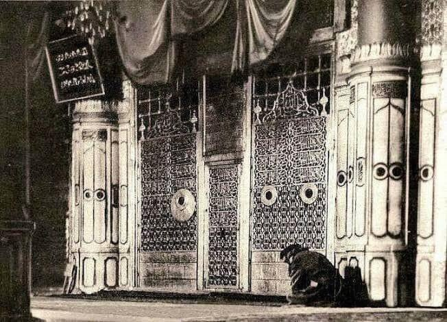 Şebeke-i Rasûlullah'ta boyun bükmüş bir dertli ﷺ