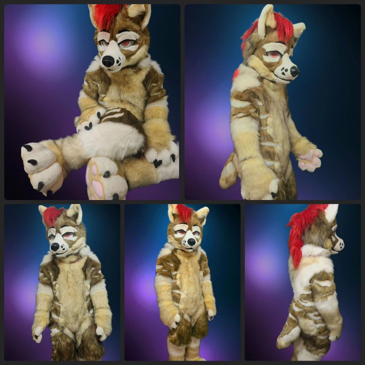 Elain3p1's tweet photo. New suit!
#furry #fursuit #FursuitFriday #fursuitmaker #fursuiting #fursuits https://t.co/HTdAkiWIaN