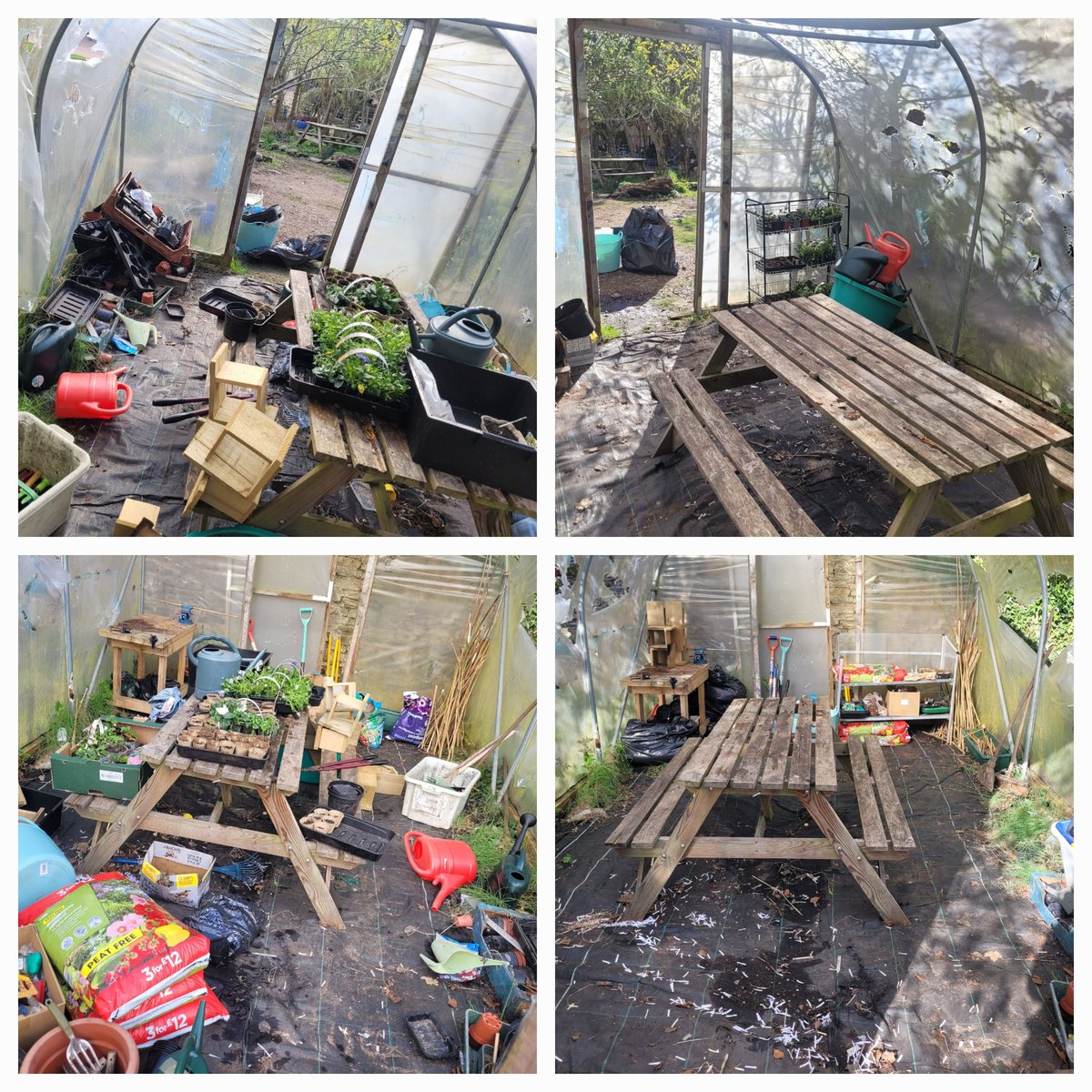 MrsMathieson1's tweet photo. Week 1 of @StrathmorePS Garden Gang done ✔️ We were too busy to get many photos, but it was a productive afternoon with 18 super keen children weeding in preparation for flowers at the front and veg in our raised beds. Plus,a tidy of the polytunnel was DEFINITELY needed!🌼🌹🥕🥔 https://t.co/GdtrPmZnsf