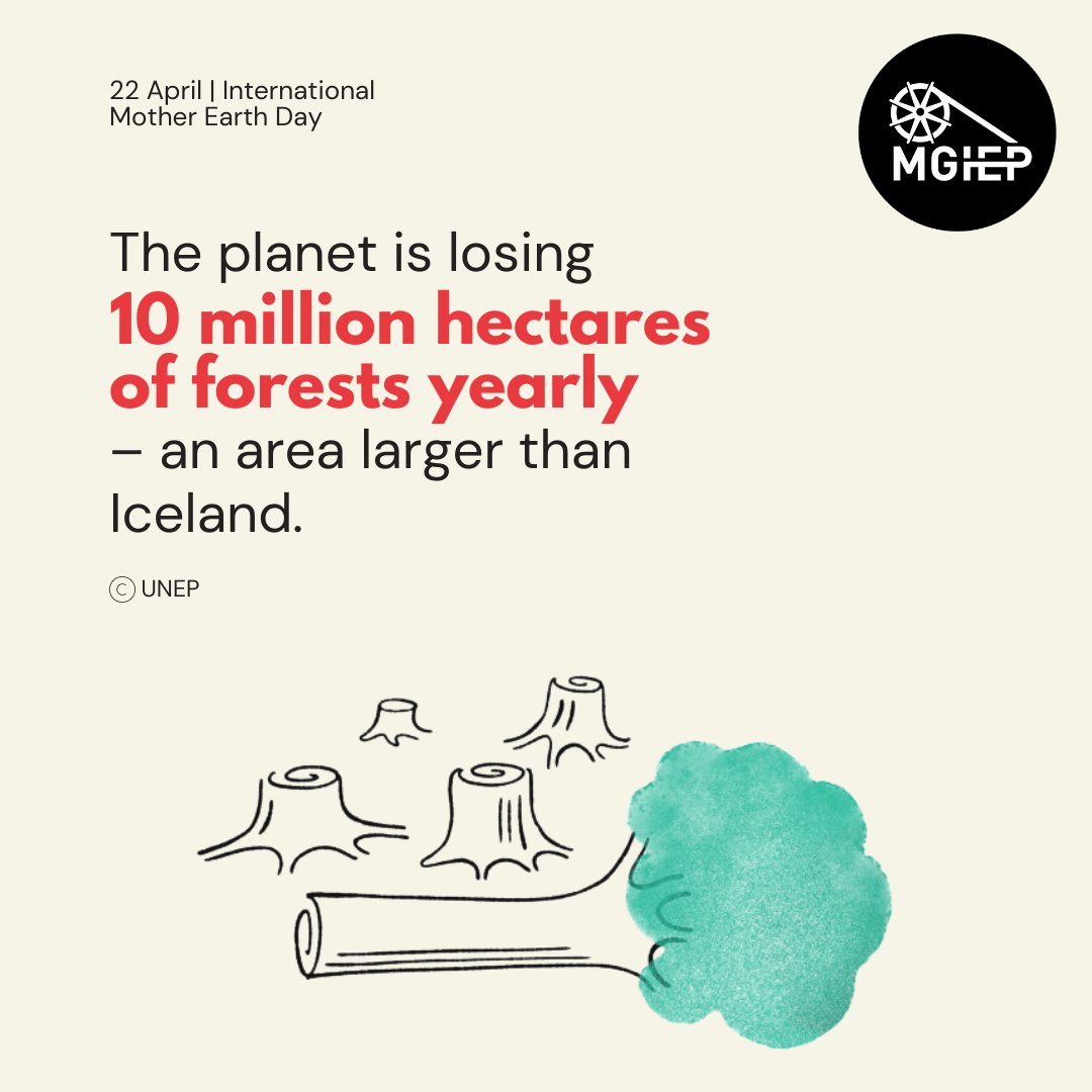 🌳 Every year, our planet loses an area of forests larger than Iceland. This #internationalmotherearthday, it's time to take action and protect our green lungs before it's too late.  

#SaveOurForests #DeforestationAwareness #StopDeforestation #earthday