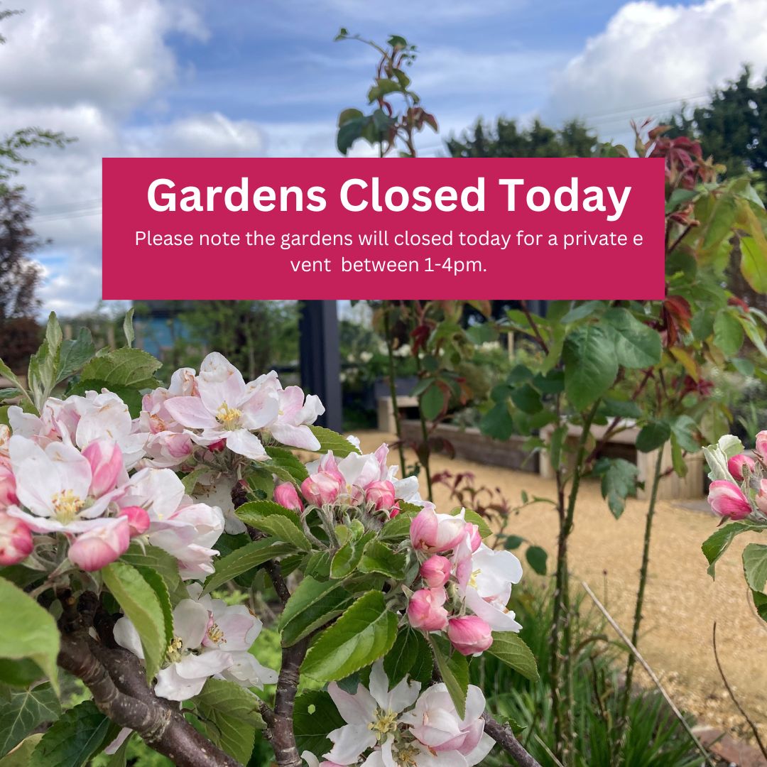Please note the gardens will be closed today (Saturday) for a private event between 1-4pm. We will be back open to visitors next week Wednesday-Fridays 11am-3pm and Saturday 1-4pm.