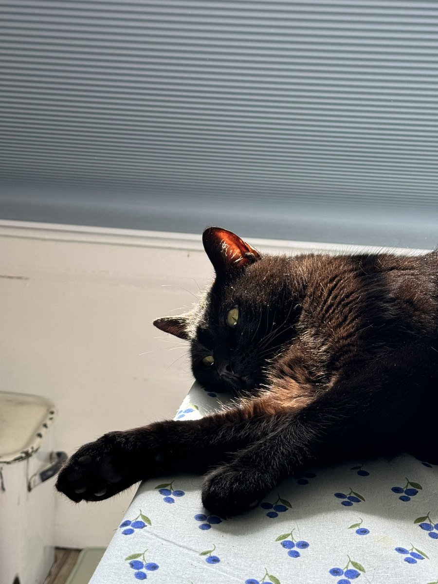 Thank goodness it’s the weekend. This week has been exhausting 😮‍💨