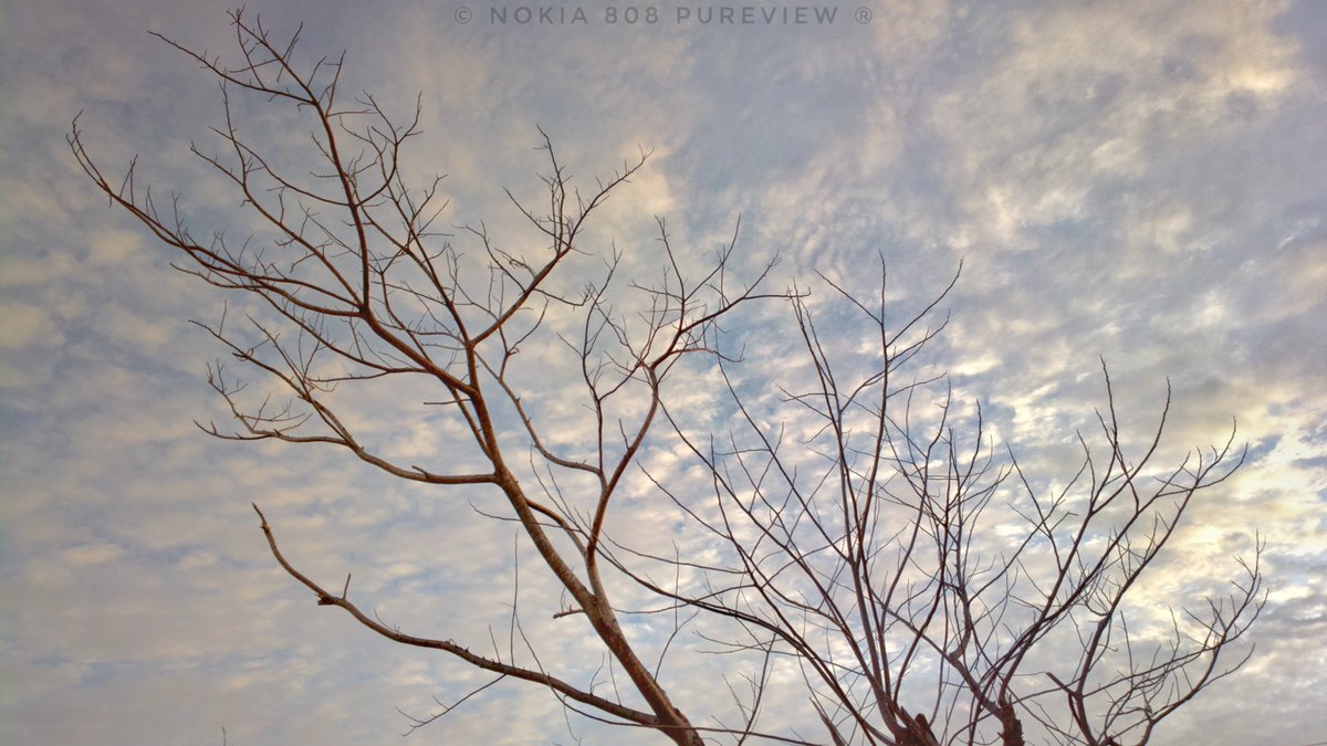 Shot on #Nokia808PureView
#ShotOnNokia 
How is it?