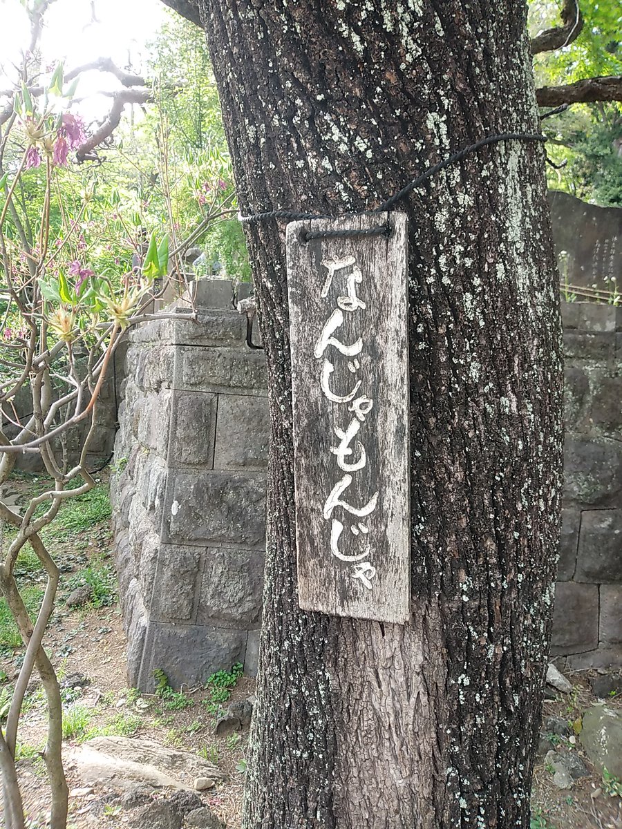 なんじゃもんじゃ? 