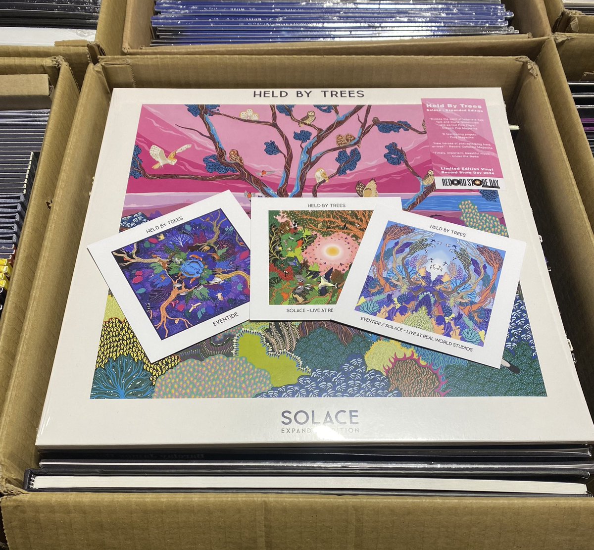 1/2 hour to go…and a last minute surprise gift from from our friends @heldbytrees who have ‘solace - expanded edition’ on double vinyl released for this year’s @RSDUK A set of beautiful art cards to go along with the original stunningly beautiful debut LP with bonus disc #rsd