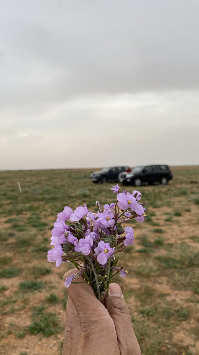 i_barraq's tweet image. الحياة أقصر من أن تشرح للناس حسن نواياك .
و تبرير افعالك في الغالب مفيد
إقتدائاً بقوله ﷺ ( على رسلكما، إنها صفية )

( ارشيفية من ربيع #المستوي شتاء ١٤٤٥هـ )
