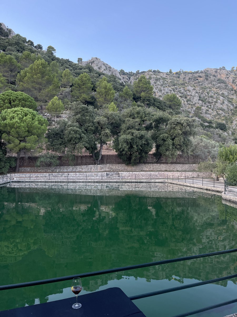 Alyonita 📍 PBW tweet media