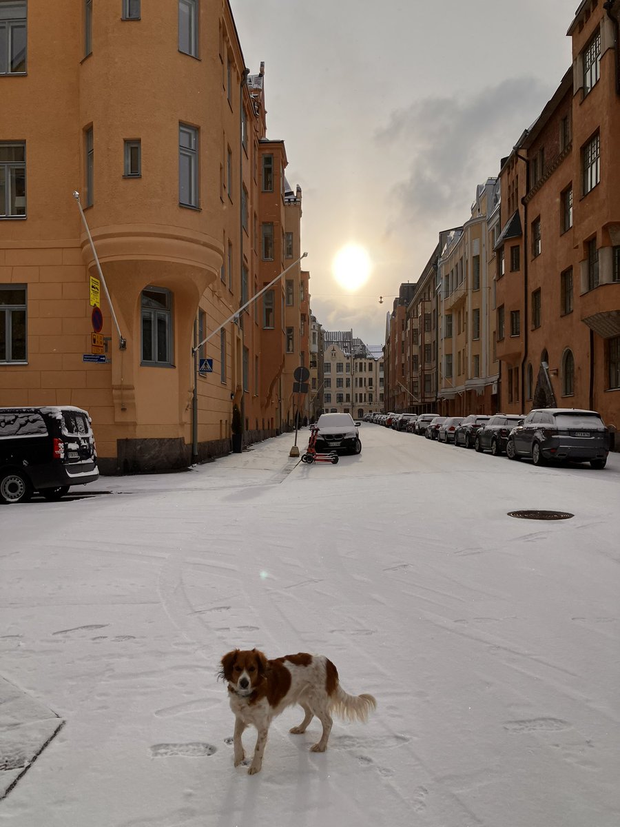 Sebastian Hielm tweet media