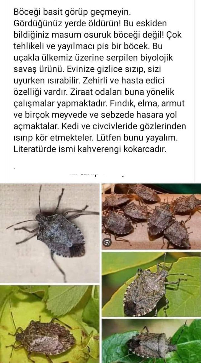 Recepsamuncu1's tweet photo. https://t.co/QyAhF5QW4c