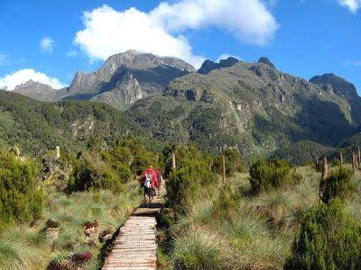 Rwenzori Mountains, known as the “Mountains of the Moon,” this UNESCO World Heritage Site offers challenging treks through lush forests, alpine meadows, and glaciers.
#VisitUganda