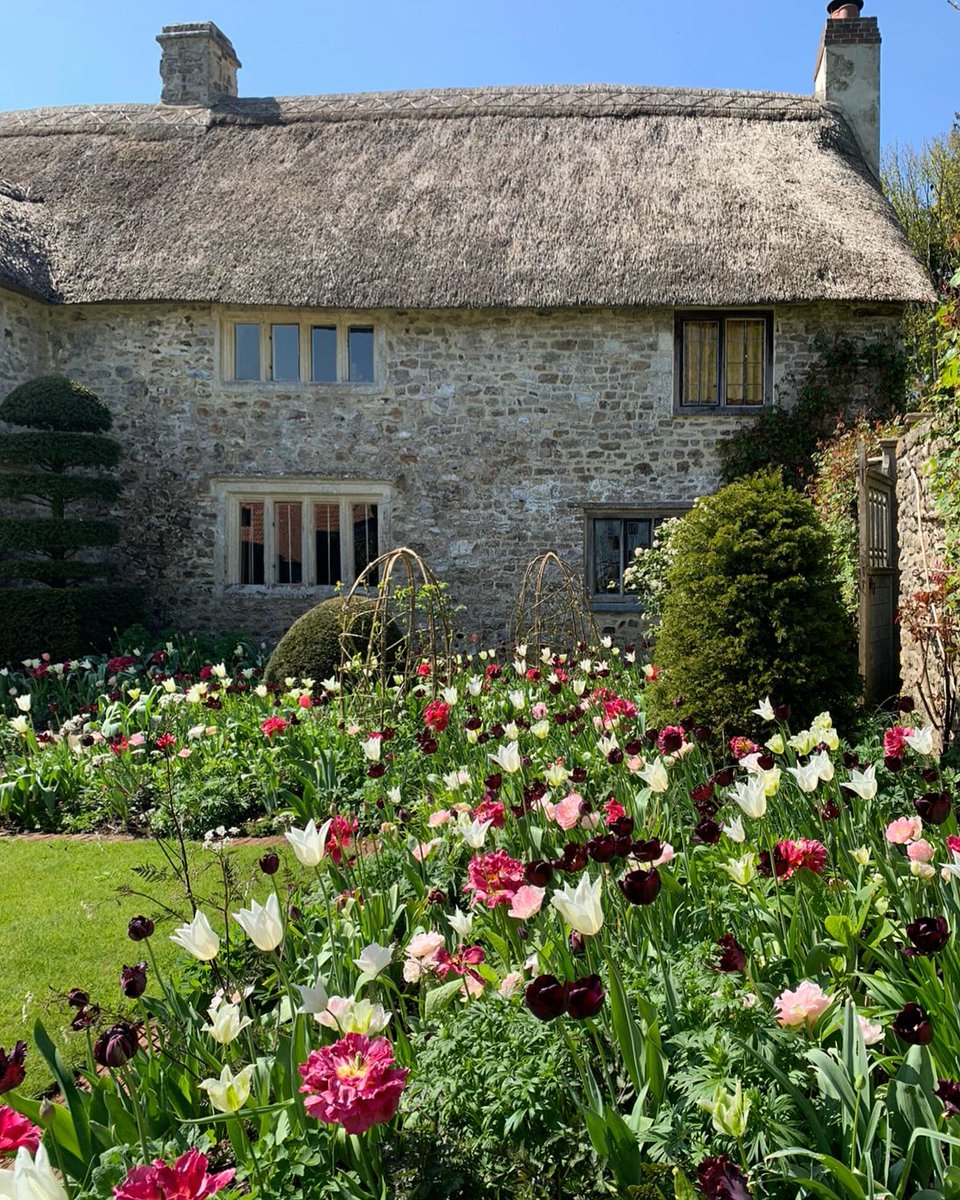 📷️South Wood Farm, Honiton. Open Sat 20 April & Sun 21 April If you're looking to get outside this weekend, have a look at the gardens opening for the National Garden Scheme👇️ findagarden.ngs.org.uk #gardensopenforcharity #gardeninspiration #getoutside