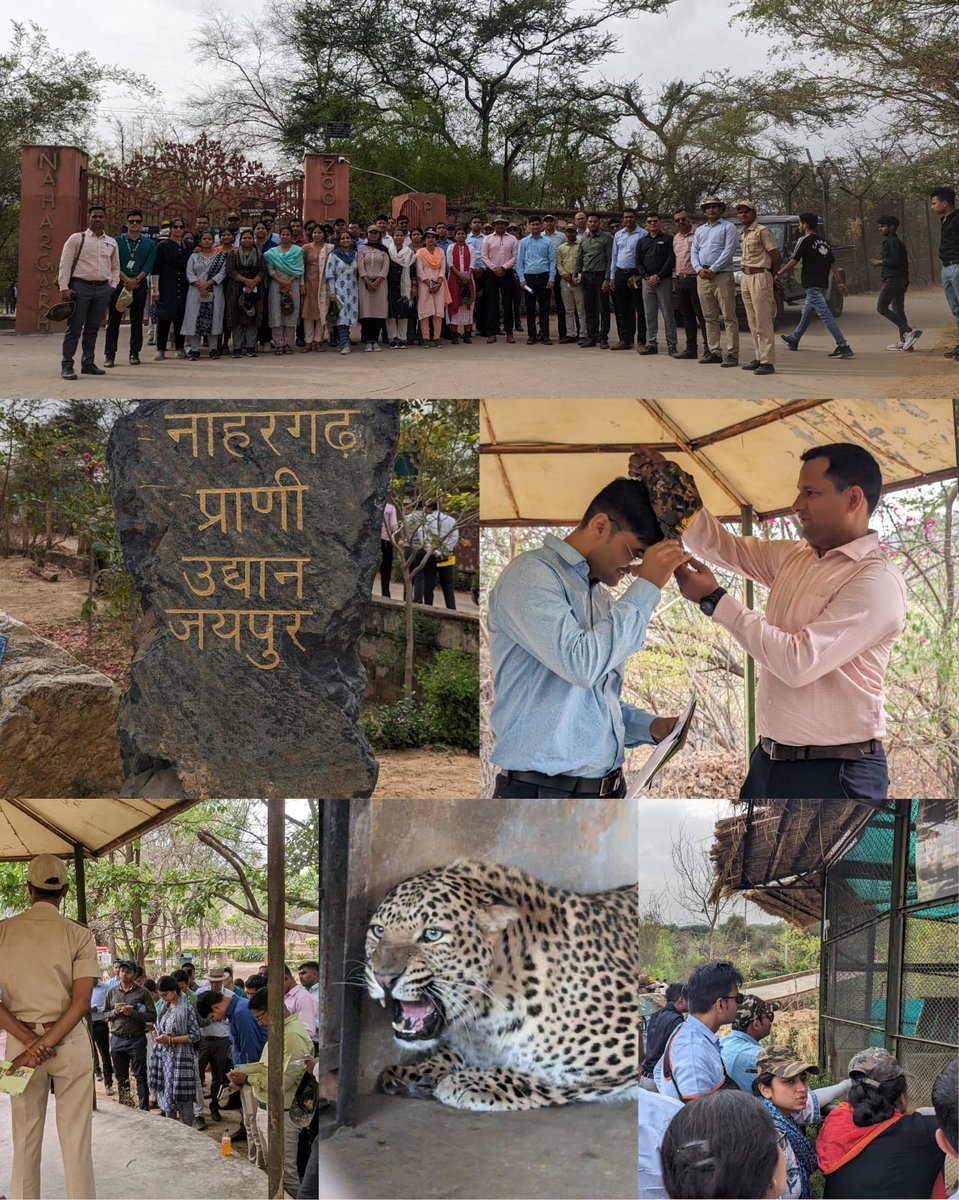 casfosddn's tweet photo. WIT-D4: OTs of 36th SFS-IC embarked a visit to World Forestry Arboretum, Jaipur. Later interacted with Sh A. Tomar (IFS), PCCF (WP), and other senior forest officials at Aranya Bhawan. Also visited Nahargarh BP and Rescue Centre during afternoon, and have gone for Lion Safari. https://t.co/XnO4zxfibq