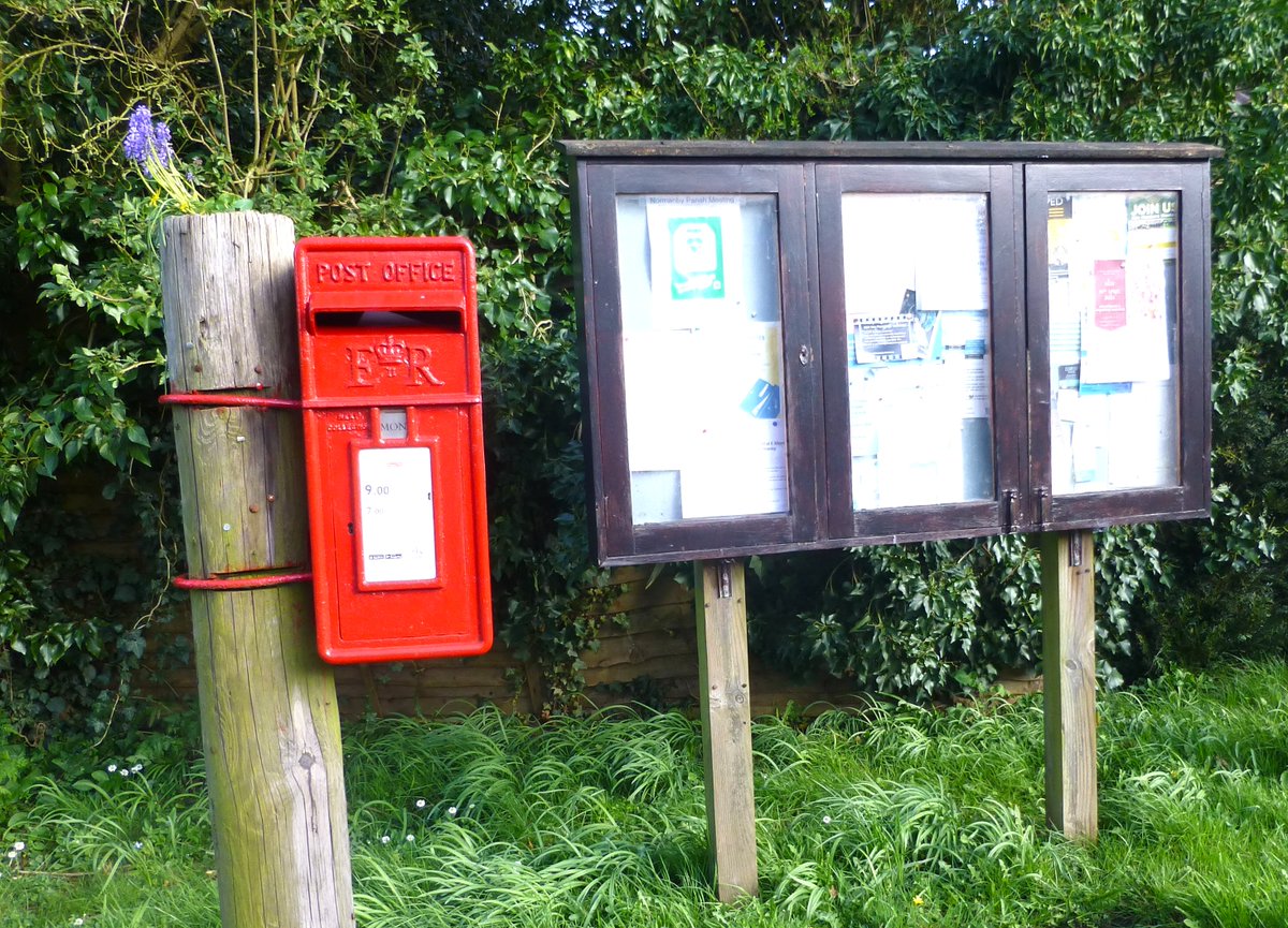 💌Good morning #postbox people. An ER with the added bonus of spring flowers. #Postboxsaturday #Northyorkshire.  Have a happy day📮