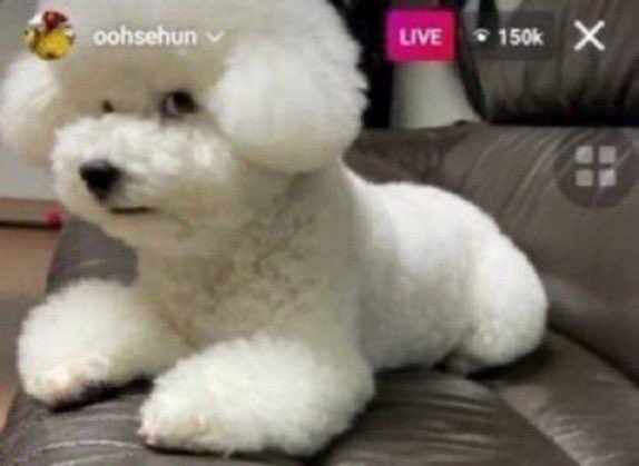 sehunsilk's tweet photo. ano ba namang tropa to ang susunget https://t.co/fq2950zyGV
