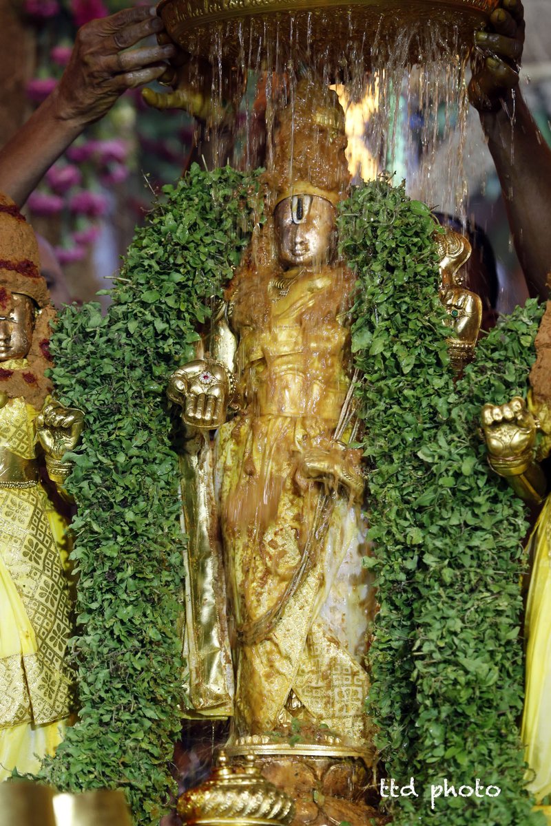 Tirumala Tirupati Devasthanams tweet media