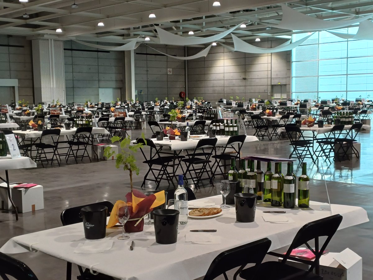 ConcoursVinsBdx's tweet photo. Plus que quelques minutes…

🕘Ouverture des portes : les équipes de la @agriculture33 sont prêtes à accueillir les 500 dégustateurs venus départager les 2 400 vins candidats à l'édition 2024

#concoursvinsbordeaux
#vinsdebordeaux #winetasting #degustation https://t.co/Q82eoSLSKK