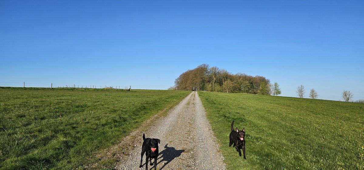 Cool and sunny this morning, absolutely beautiful sky.