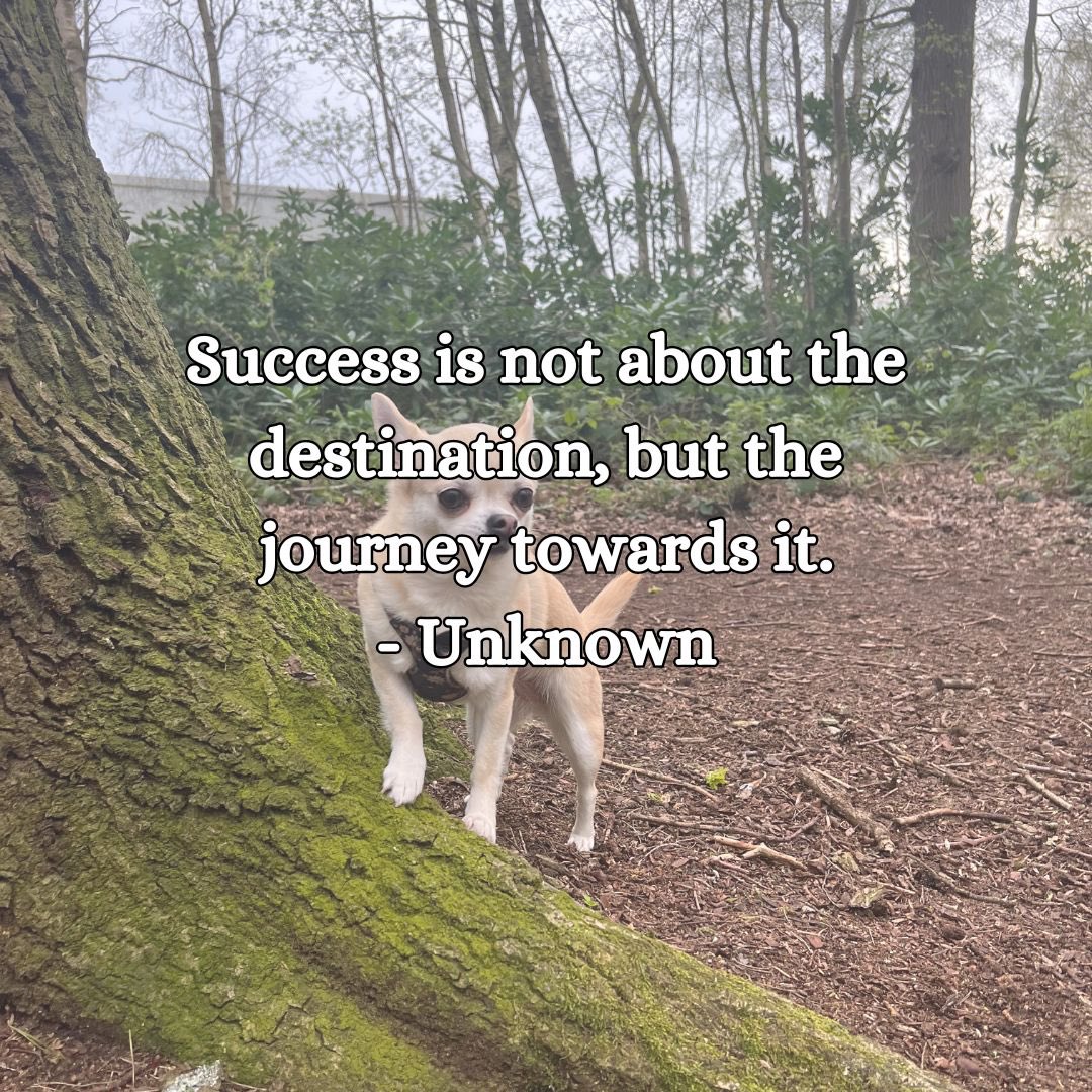 Cur_Collective's tweet image. #journeynotdestination #successisinthejourney #mindfulnessquote #beingmindful #mindfuljourney #spiritualityquotes #curiousaboutspirit #curiousaboutspirituality #chihuahuaquotes #chihuahua_lovers_club