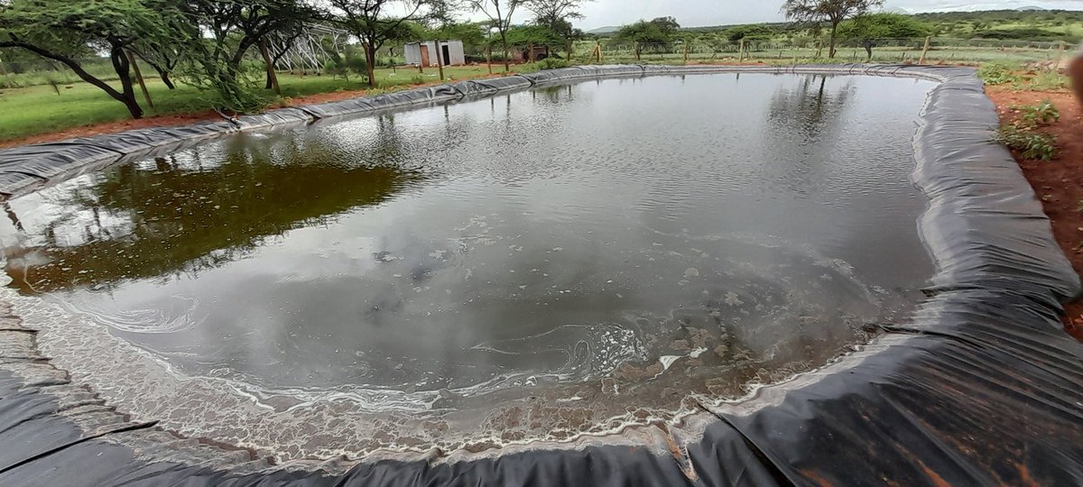 Currently storing rain water for use during the dry seasons.Ukulima ni kujipanga.@IrriHub @Water @rodgers_kirwa @kilimoKE @KilimoForum