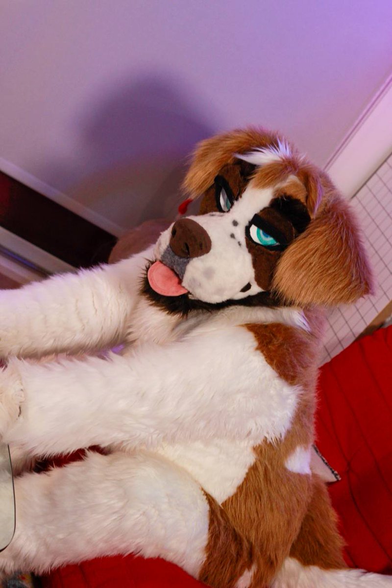 Lycan_maw's tweet photo. Trevor also relisted on dealers! Selling only with plantigrade bodysuit +char for less 💕

Fursuit open for offers (sale / trade MAYBE! ) Prioritizing offers with mons. Open to offers above 5⃣.5⃣k   

Photos by @YEENITUDE

https://t.co/hDndiD3ja8 #fursuitforsale #fursuitfortrade https://t.co/GeIFj2hHjk
