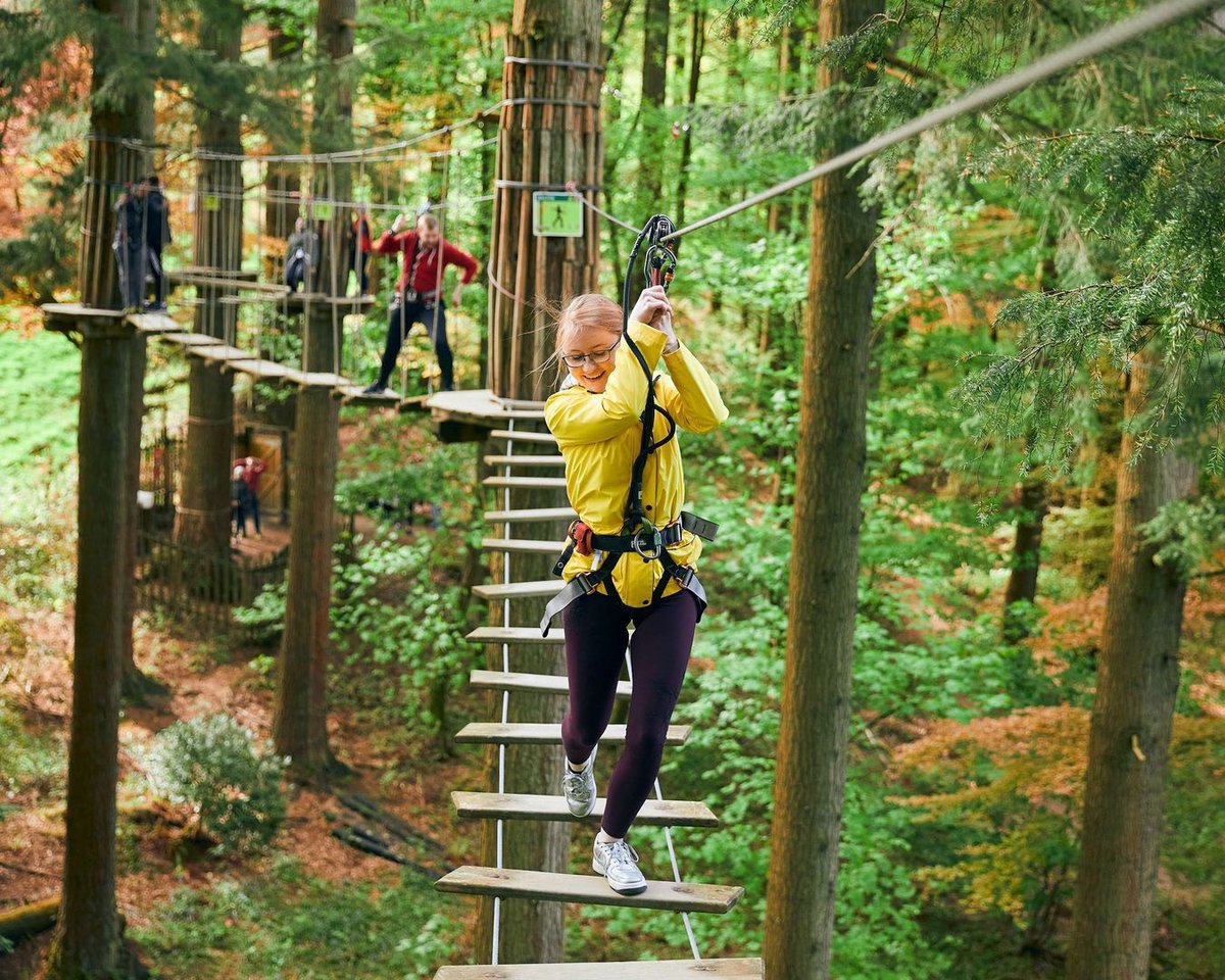 Start planning your family days out in Essex this summer ☀️ With so many great activities and attractions to choose from, there won't be a day of boredom for you or the kids this summer. Check out our recommendations > bit.ly/3Ul5IyI 📸: @GoApeTribe