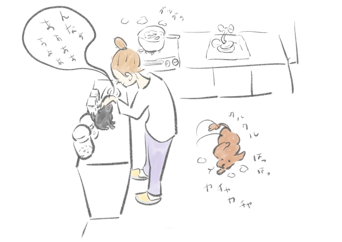 犬猫と遊んでたら土曜日もあっという間。 