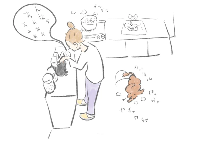 犬猫と遊んでたら土曜日もあっという間。 