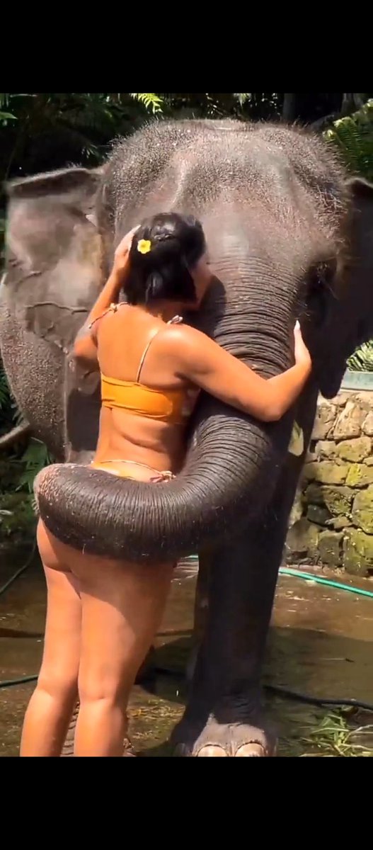 Who has seen that one video from Elephant sanctuary ubud bali 🇲🇨
Indonesia.

Check thread for videos 😭