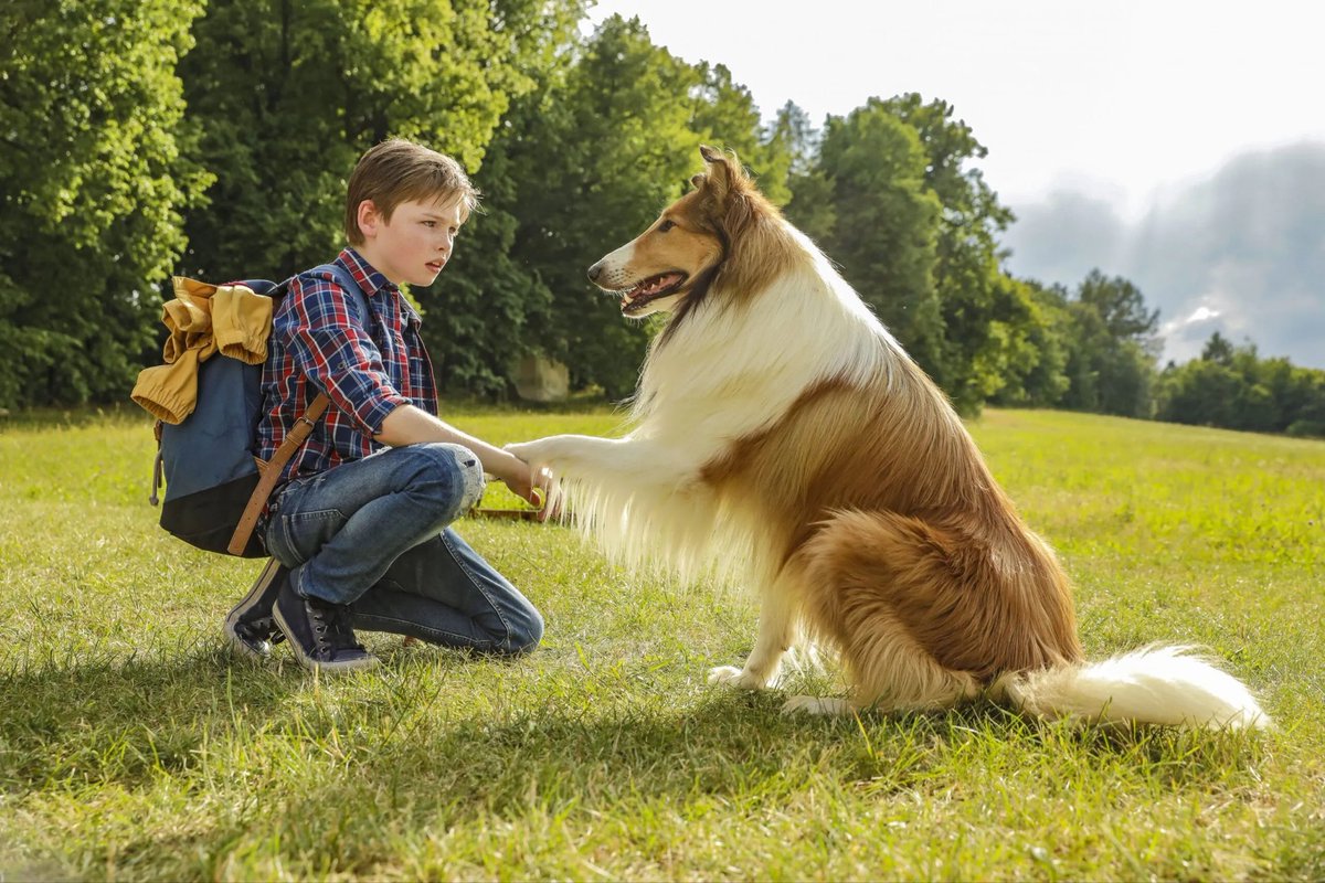 “What’s that Lassie? A Tory MP is locked in a sex dungeon and wants rescuing? Nah, girl, let’s leave him there.”