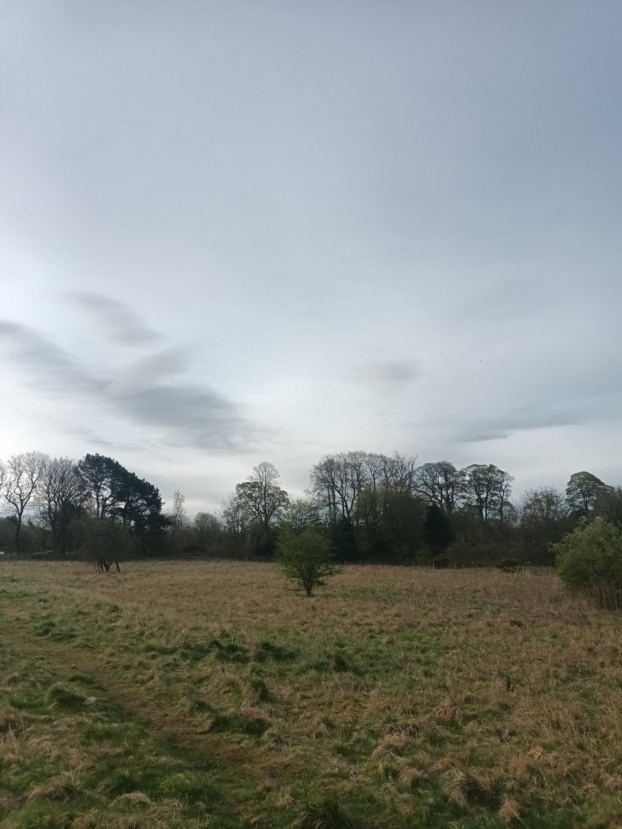 This morning's view, Osprey VP check this morning in South #Perthshire. Bird observed flying purposefully NW! #SRSG