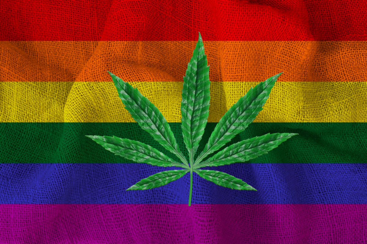 Happy #420! Smoke weed and be gay today...and everyday 😎🏳️‍🌈