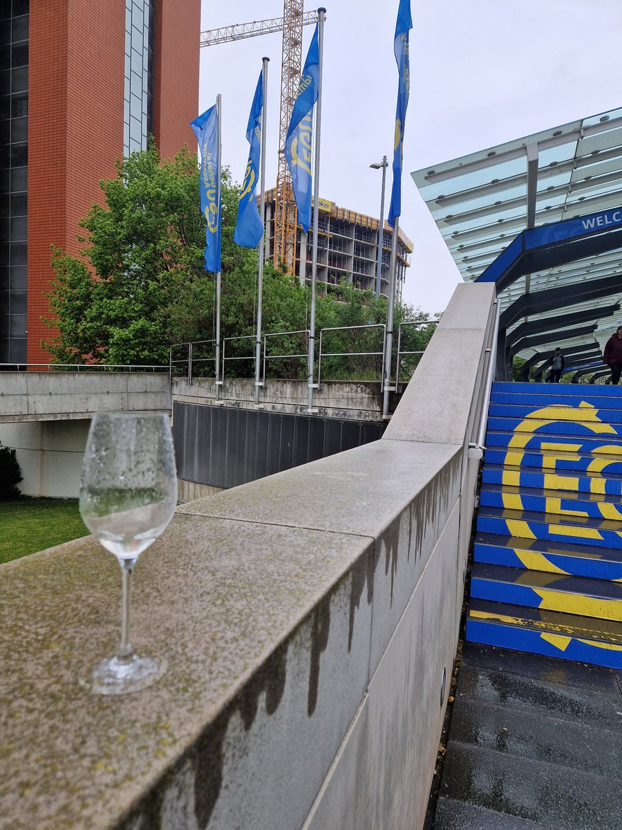 Morning after the night before (not mine!) Goodbye Vienna....see you next year! #EGU25